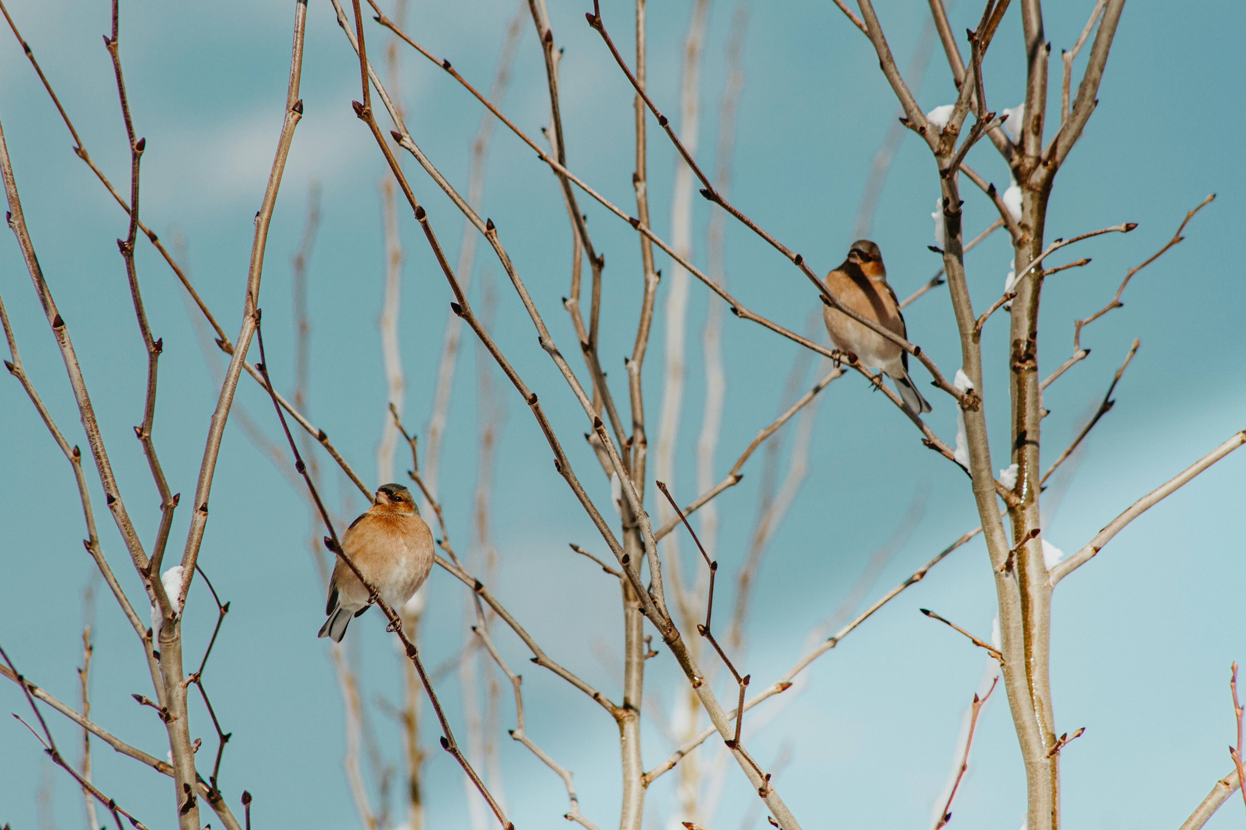 Why Fresh Air Is The Ultimate Way To Reset This May