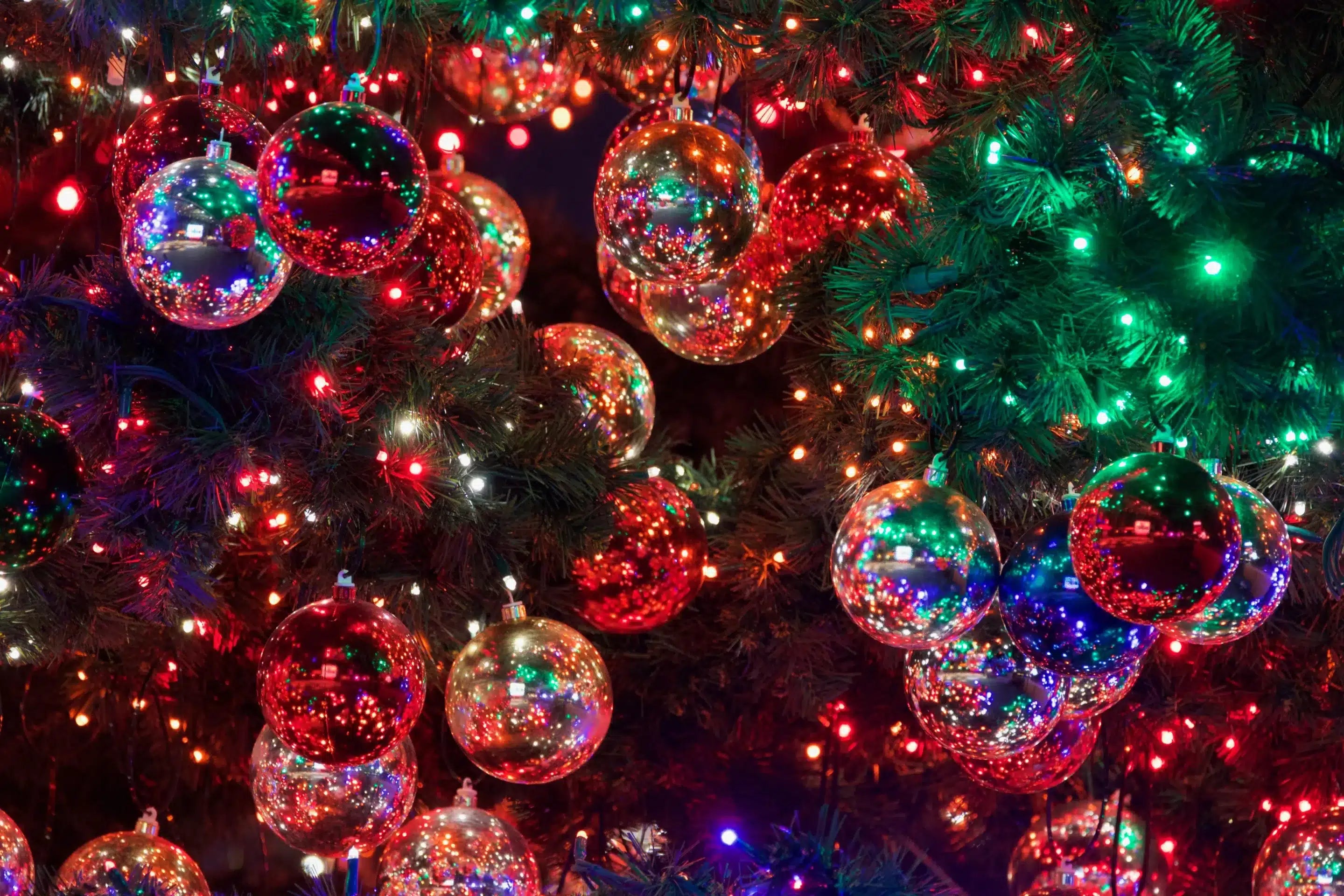 Free Festive Fun This Holiday Season